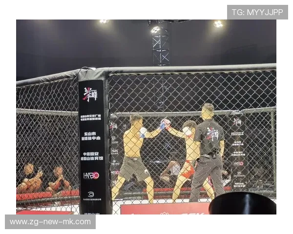 拳击击中太阳穴瞬间结束：走进极致力量的巅峰体验